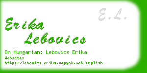 erika lebovics business card